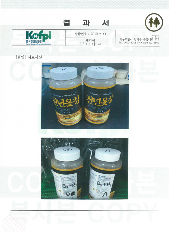 횐개미 시험 2).png